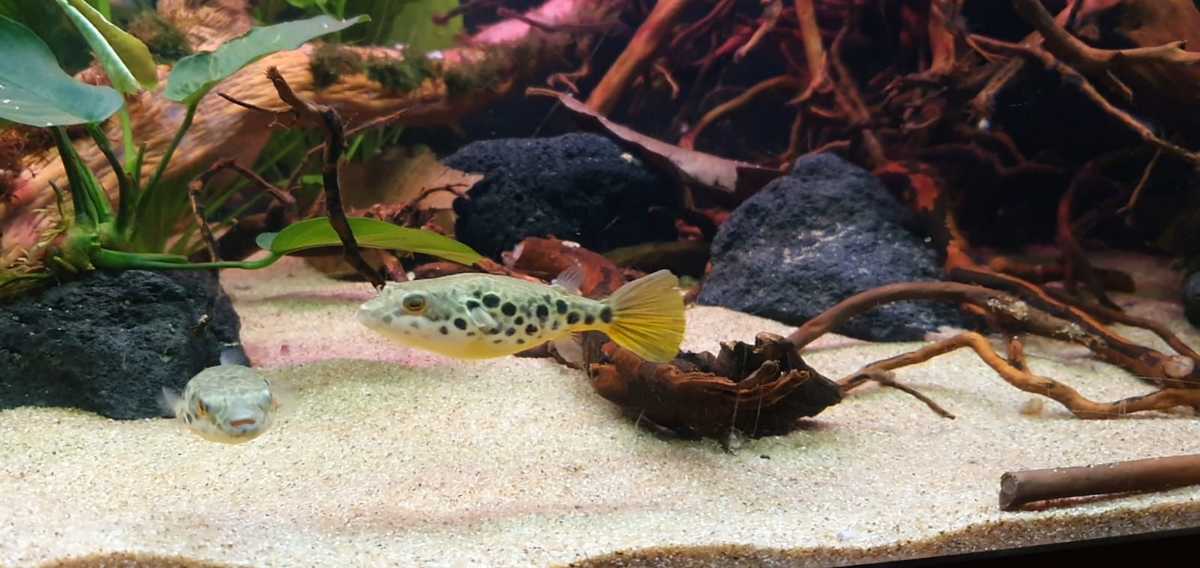 WhatsApp Image 2021-03-20 at 19.07.07.jpeg