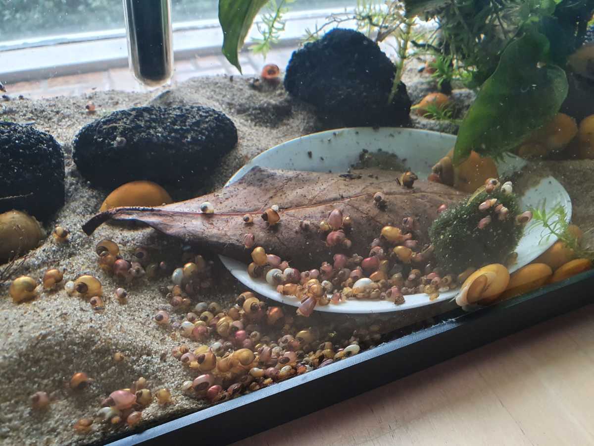 WhatsApp Image 2021-03-21 at 16.30.19.jpeg