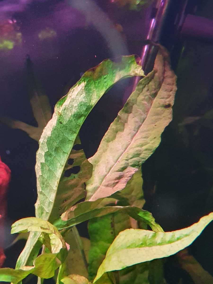 WhatsApp Image 2021-03-23 at 17.51.10.jpeg