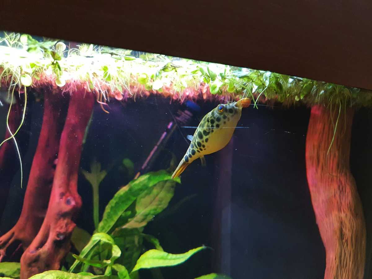 WhatsApp Image 2021-03-23 at 17.51.38.jpeg