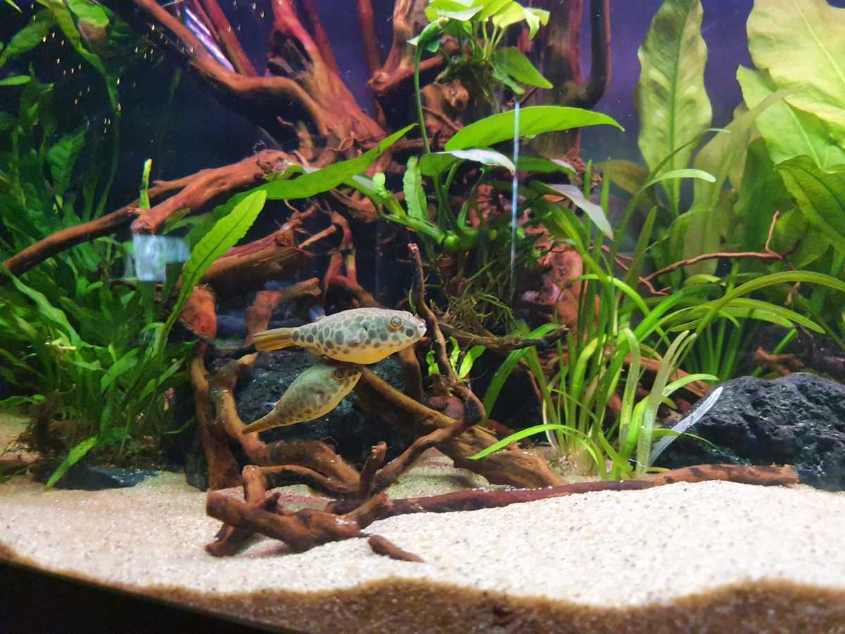 WhatsApp Image 2021-03-25 at 15.43.07.jpeg