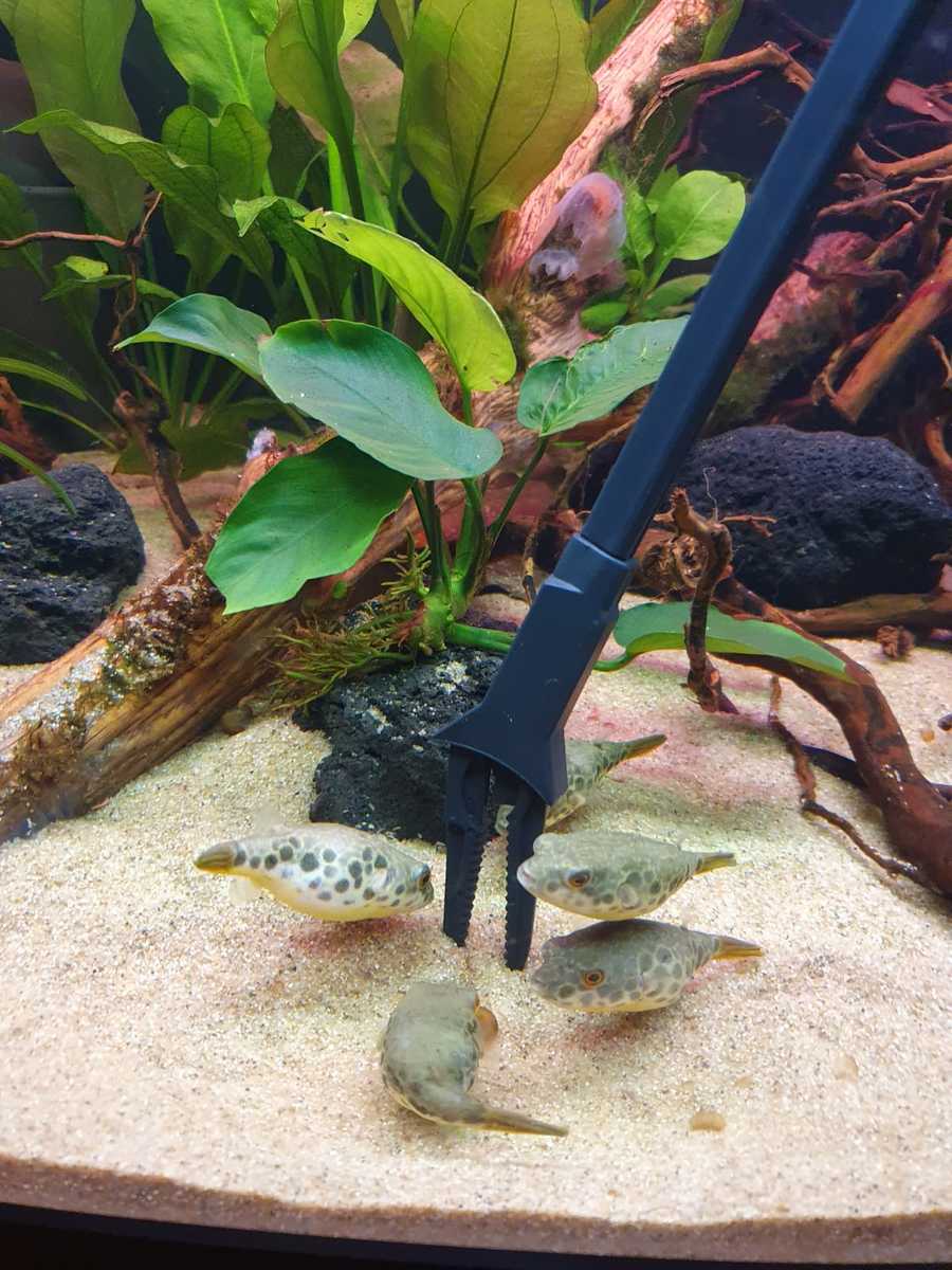 WhatsApp Image 2021-03-26 at 21.10.55.jpeg