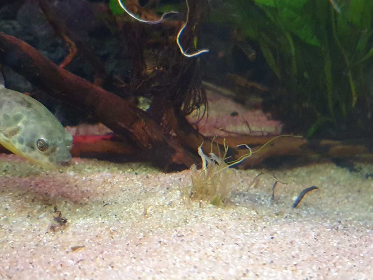 WhatsApp Image 2021-03-29 at 18.23.27.jpeg