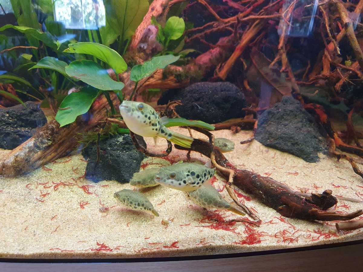 WhatsApp Image 2021-04-02 at 20.15.46.jpeg