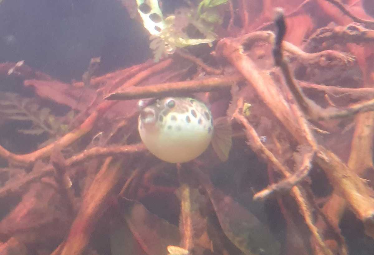 WhatsApp Image 2021-04-04 at 17.59.13.jpeg