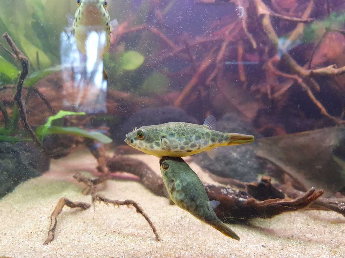 WhatsApp Image 2021-04-04 at 18.16.16.jpeg