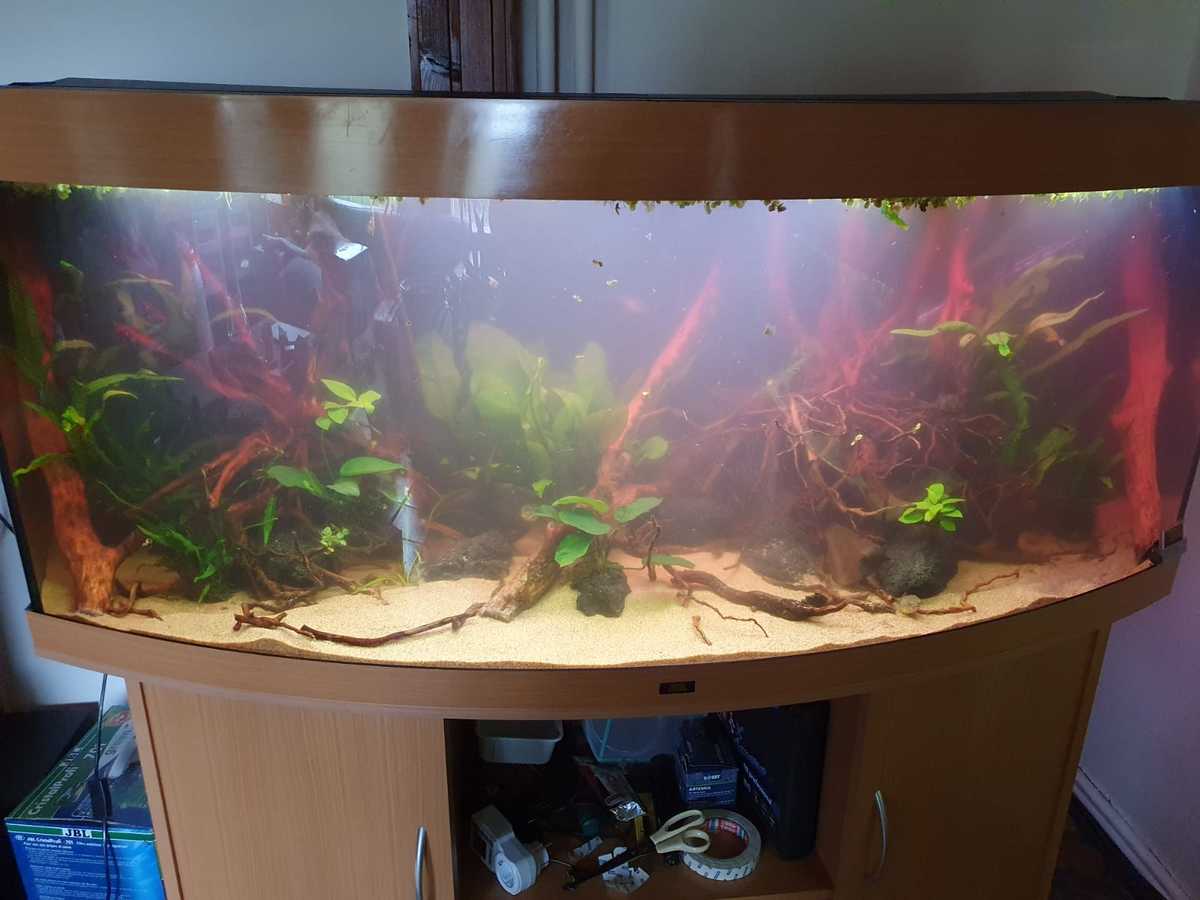 WhatsApp Image 2021-04-04 at 19.46.00.jpeg