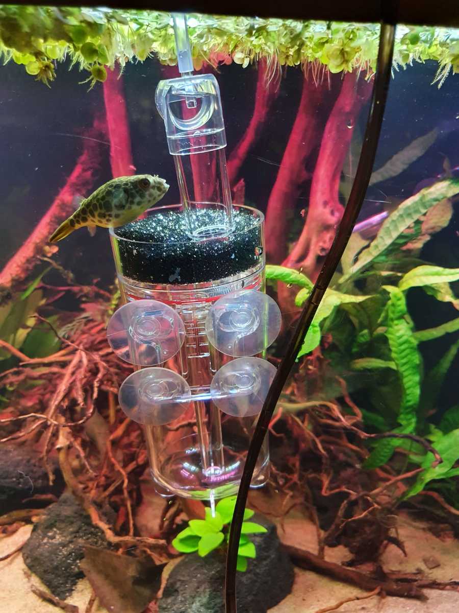 WhatsApp Image 2021-04-05 at 20.28.38.jpeg