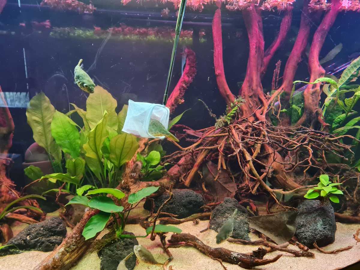 WhatsApp Image 2021-04-06 at 19.26.49.jpeg