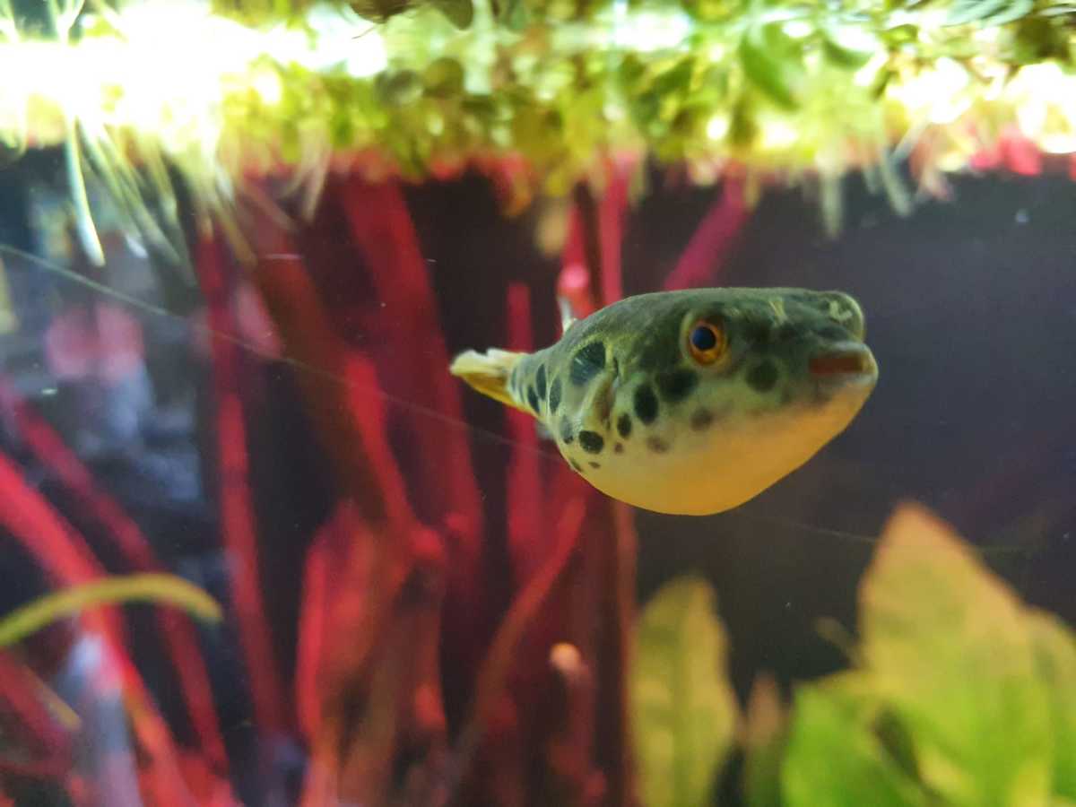 WhatsApp Image 2021-04-06 at 19.40.53.jpeg