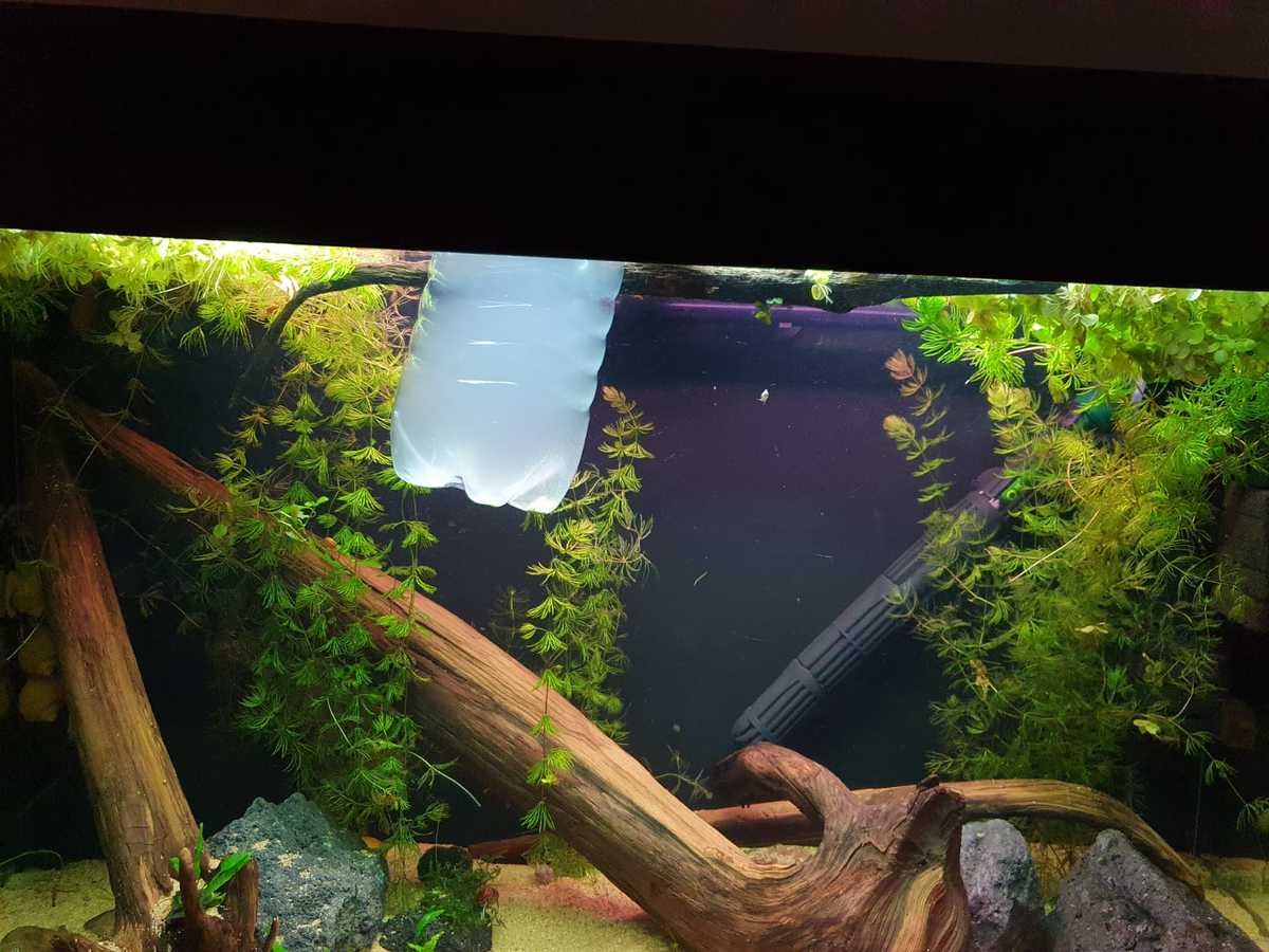 WhatsApp Image 2021-04-08 at 20.04.20.jpeg