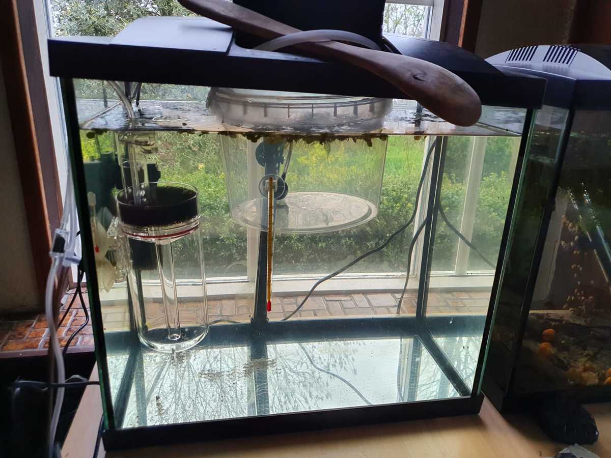 WhatsApp Image 2021-04-10 at 19.53.37.jpeg