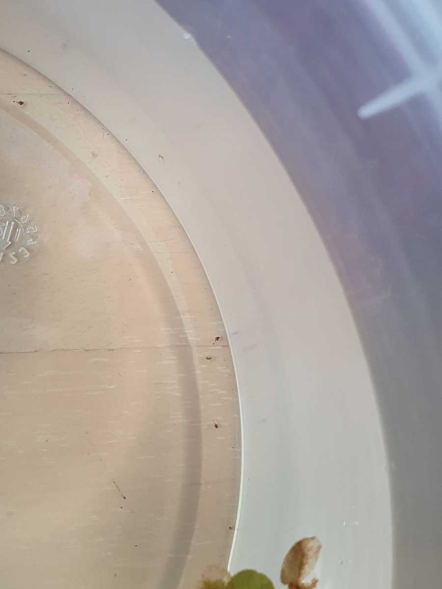 WhatsApp Image 2021-04-10 at 20.10.12.jpeg