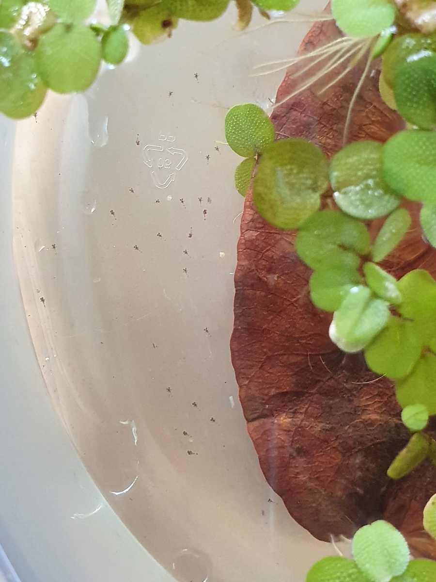 WhatsApp Image 2021-04-11 at 17.53.55.jpeg