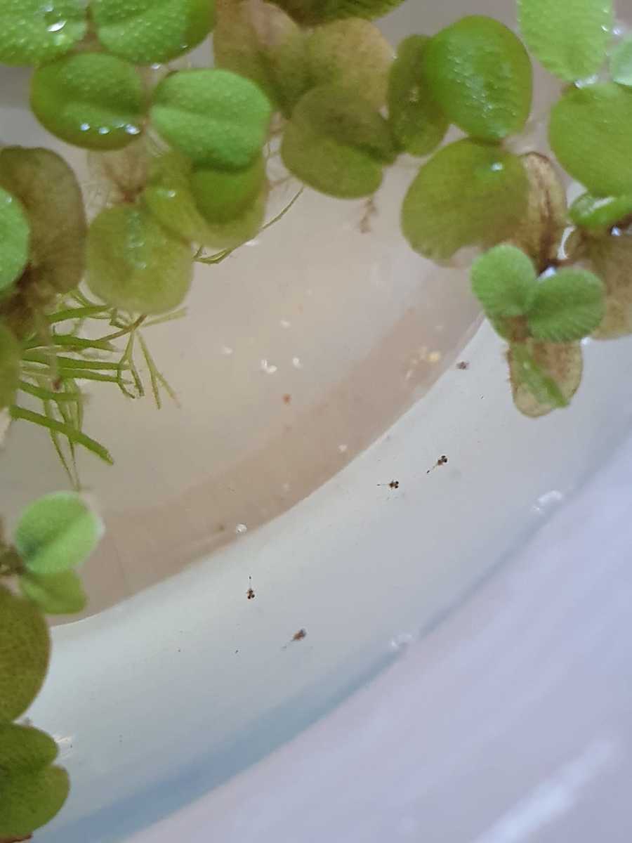 WhatsApp Image 2021-04-14 at 12.36.04.jpeg