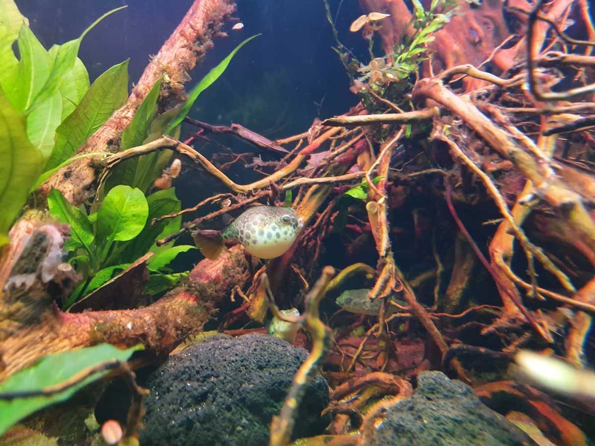 WhatsApp Image 2021-04-14 at 19.47.08.jpeg