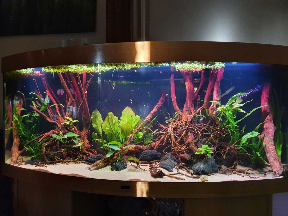 WhatsApp Image 2021-04-14 at 19.47.30.jpeg