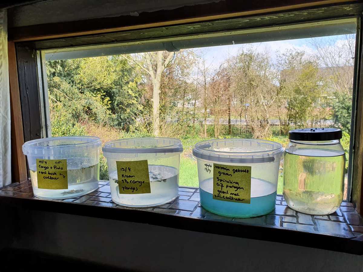 WhatsApp Image 2021-04-15 at 11.37.24.jpeg