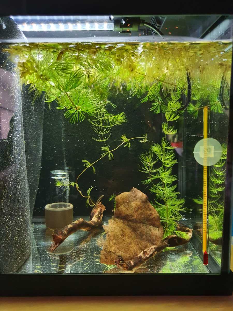 WhatsApp Image 2021-04-15 at 20.35.19.jpeg