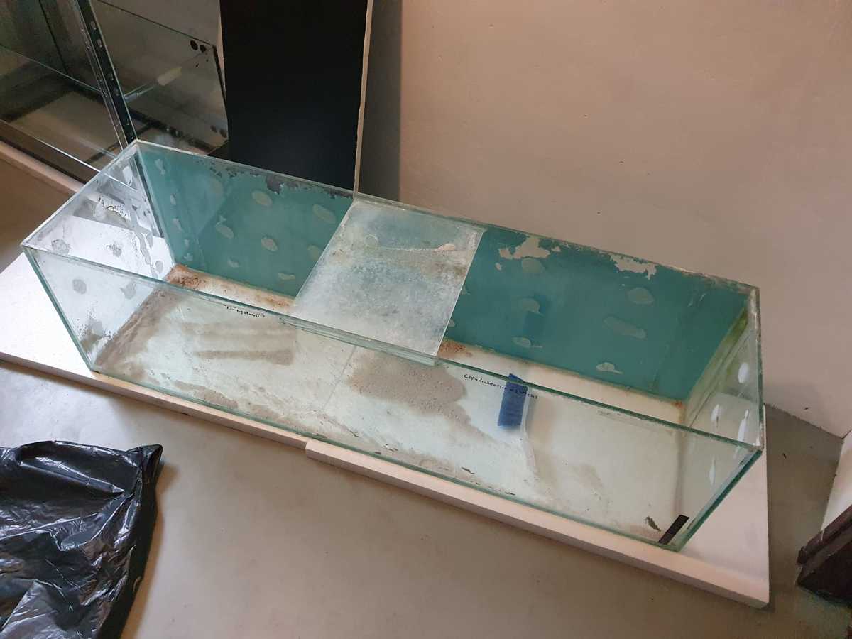 WhatsApp Image 2021-05-03 at 09.49.24.jpeg