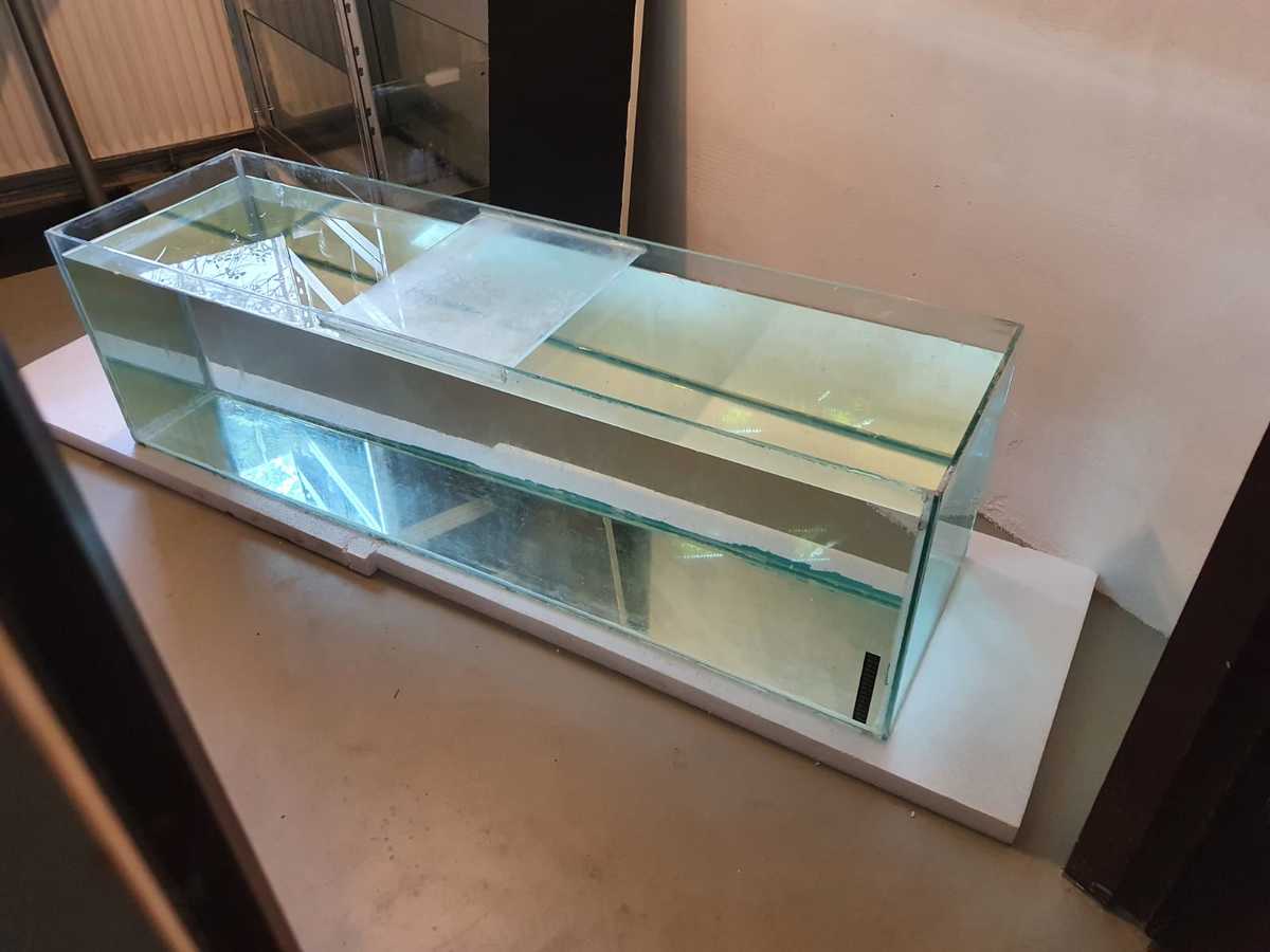 WhatsApp Image 2021-05-03 at 19.13.45.jpeg