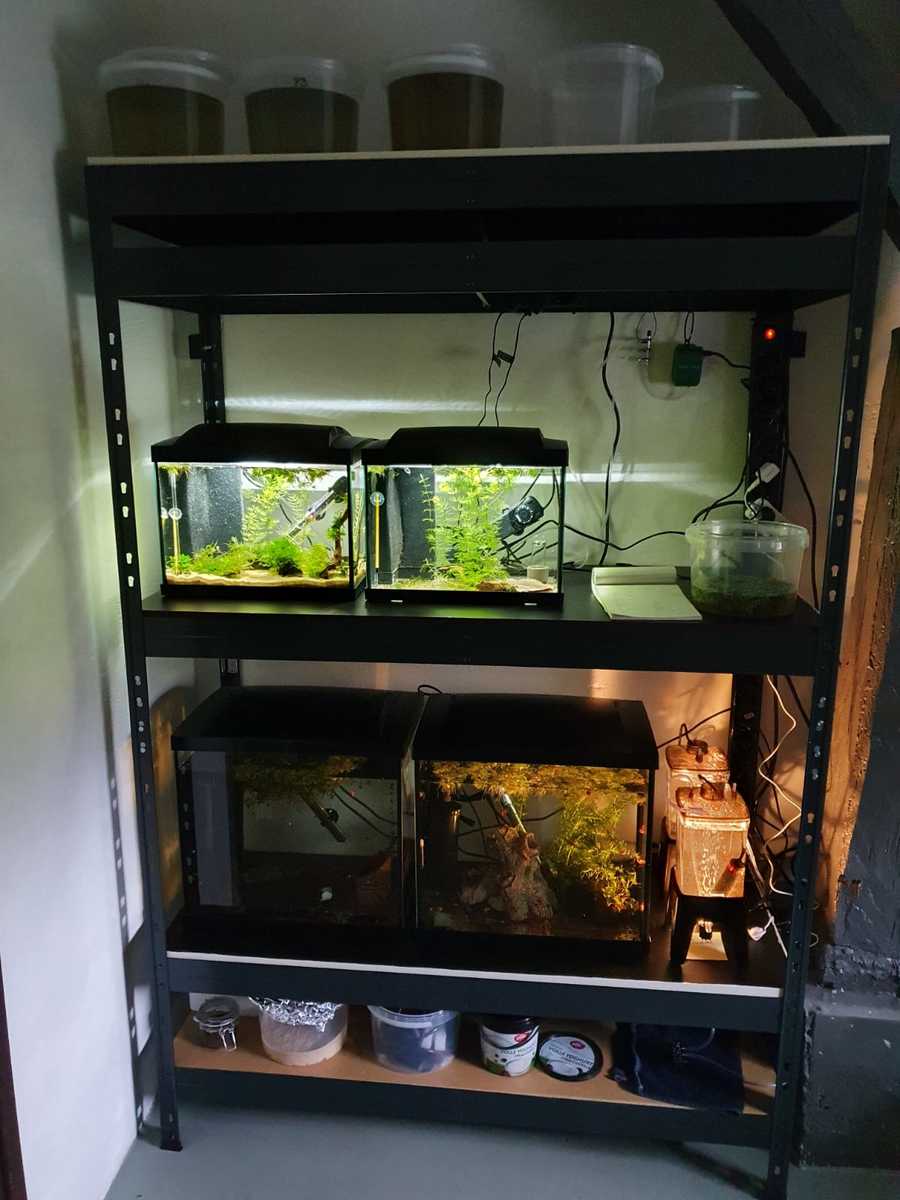 WhatsApp Image 2021-05-04 at 08.26.50.jpeg