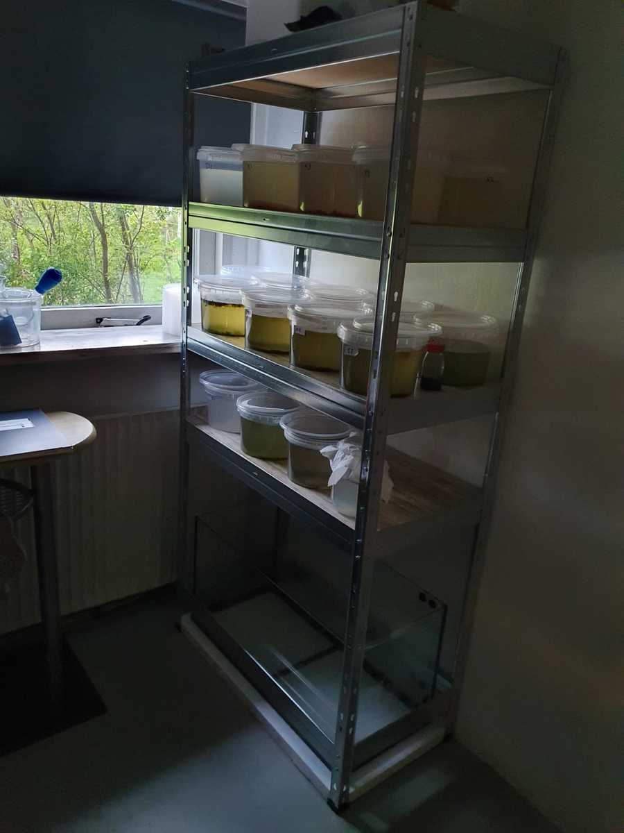 WhatsApp Image 2021-05-04 at 08.27.59.jpeg