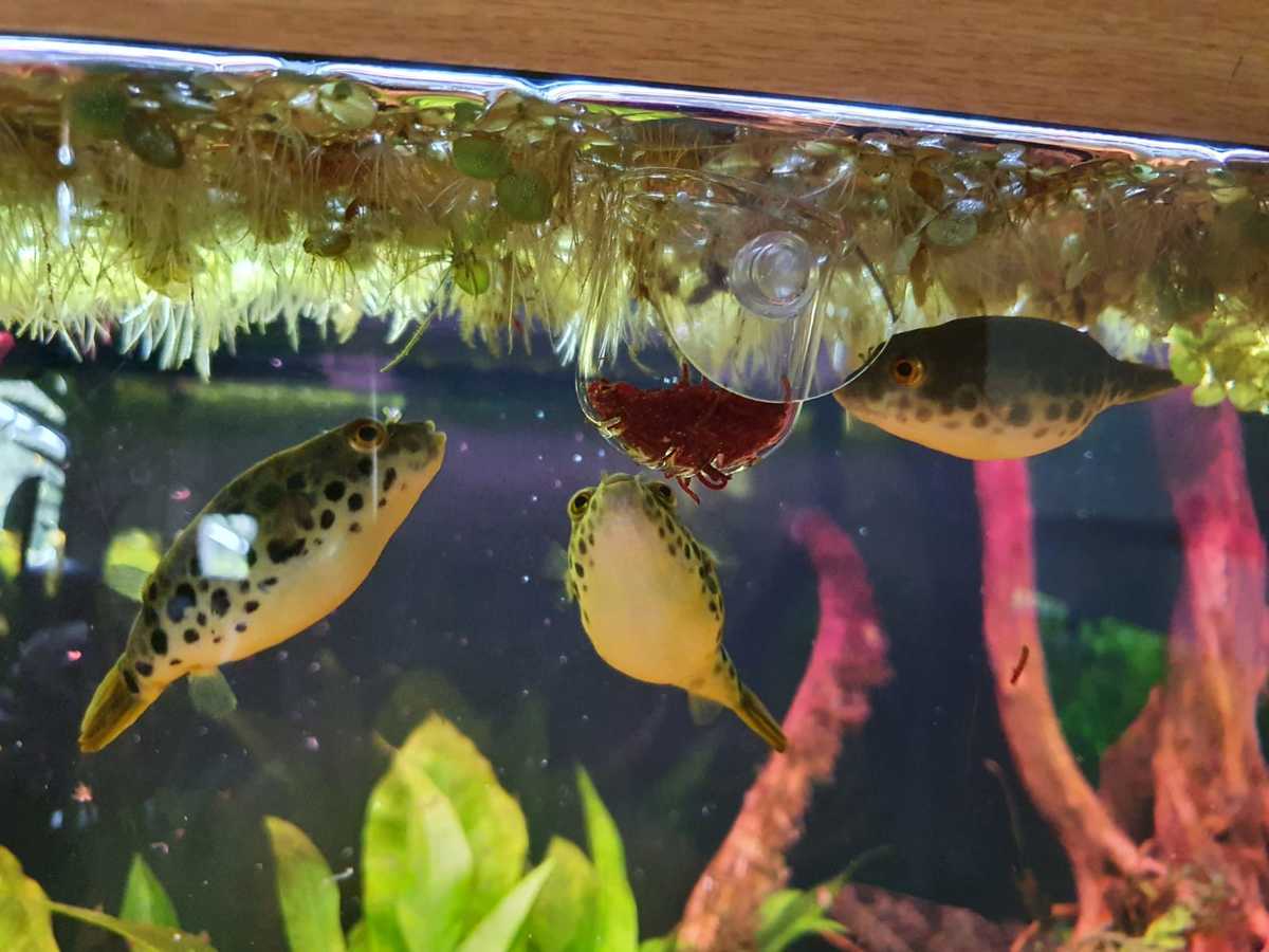 WhatsApp Image 2021-05-07 at 14.29.23.jpeg