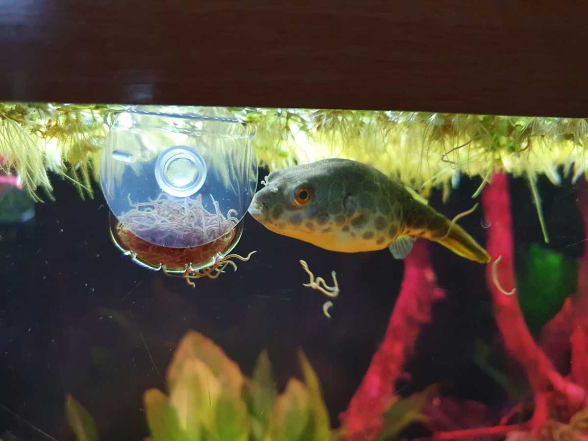 WhatsApp Image 2021-05-11 at 19.41.53.jpeg