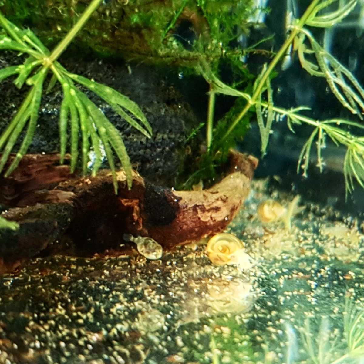 WhatsApp Image 2021-05-13 at 14.54.07.jpeg