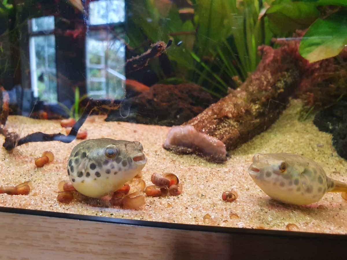 WhatsApp Image 2021-05-15 at 20.31.53.jpeg