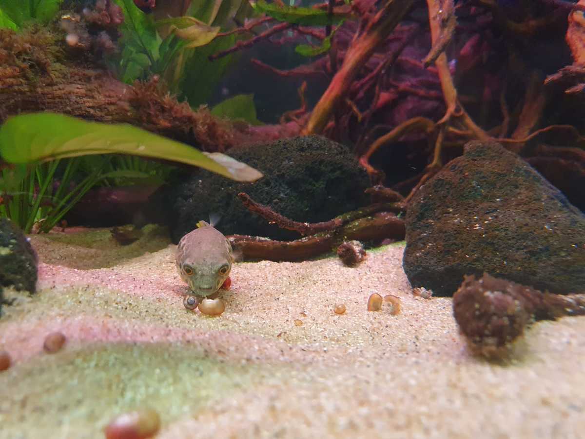 WhatsApp Image 2021-05-15 at 20.33.12.jpeg