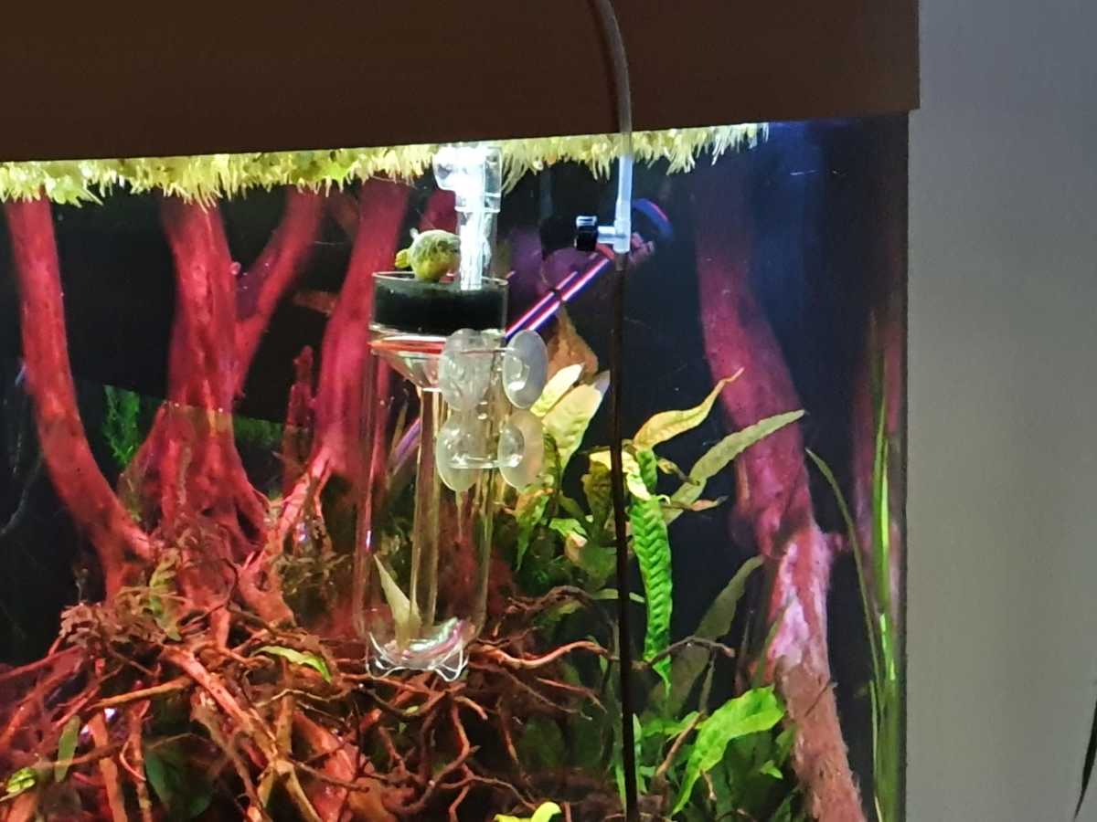 WhatsApp Image 2021-05-16 at 13.01.34.jpeg