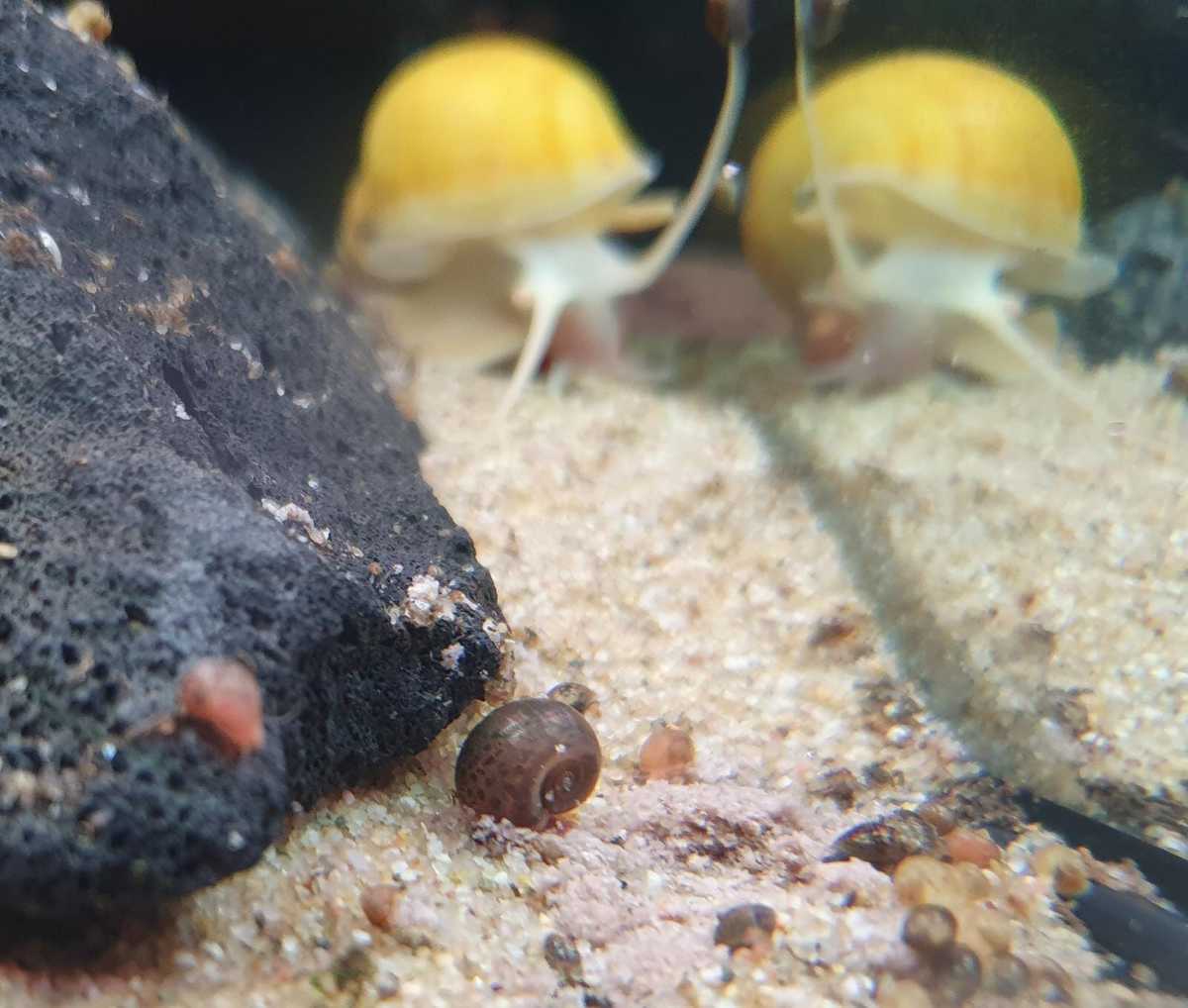 WhatsApp Image 2021-05-16 at 19.00.36.jpeg