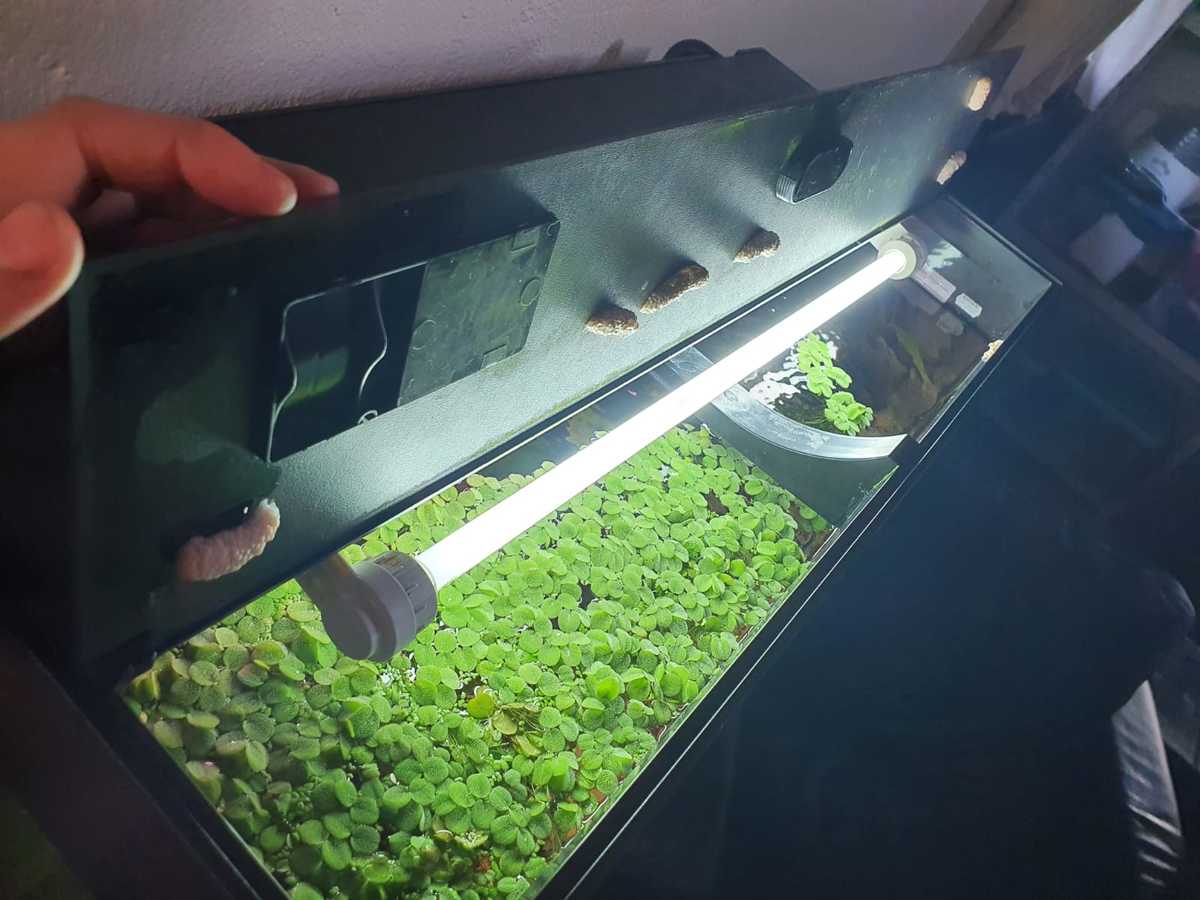 WhatsApp Image 2021-05-16 at 19.03.20 (1).jpeg