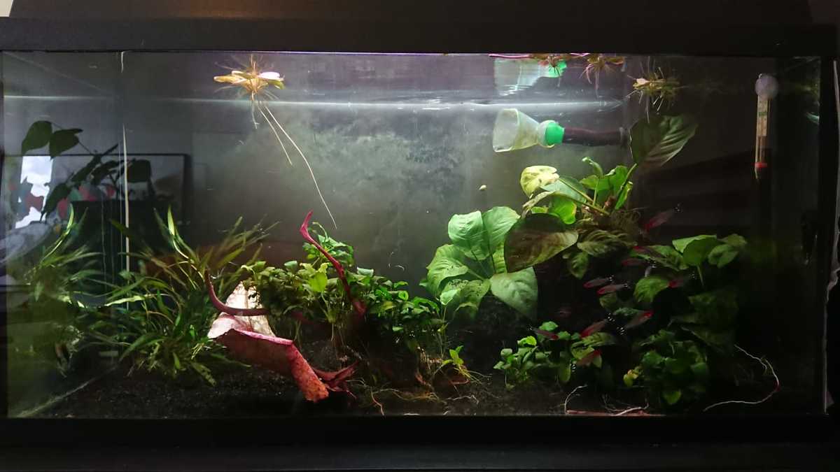 WhatsApp Image 2021-05-21 at 18.22.05.jpeg