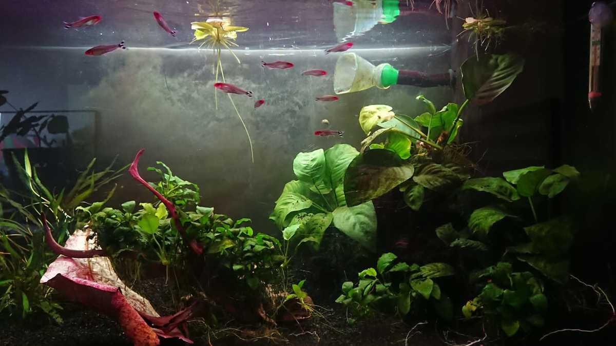 WhatsApp Image 2021-05-21 at 18.22.14.jpeg