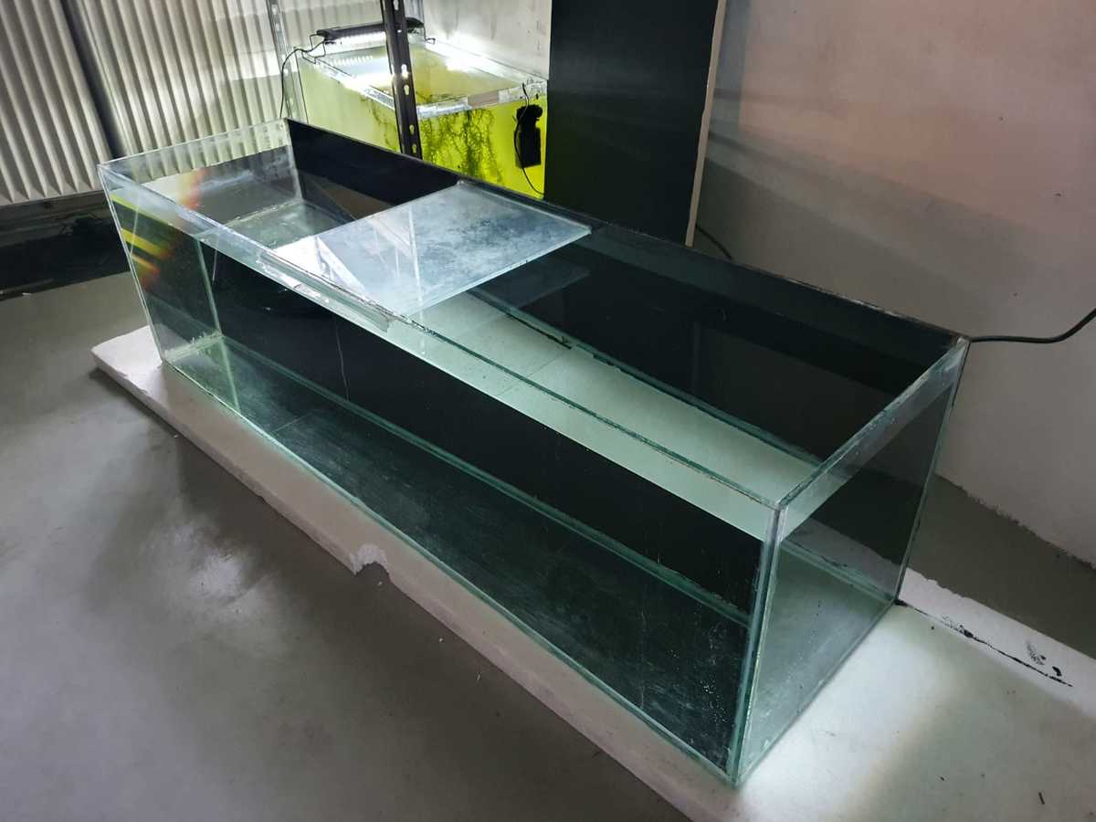 WhatsApp Image 2021-05-23 at 20.10.39.jpeg