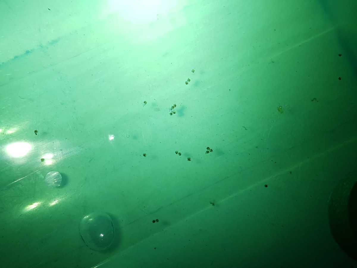 WhatsApp Image 2021-05-29 at 19.33.21.jpeg