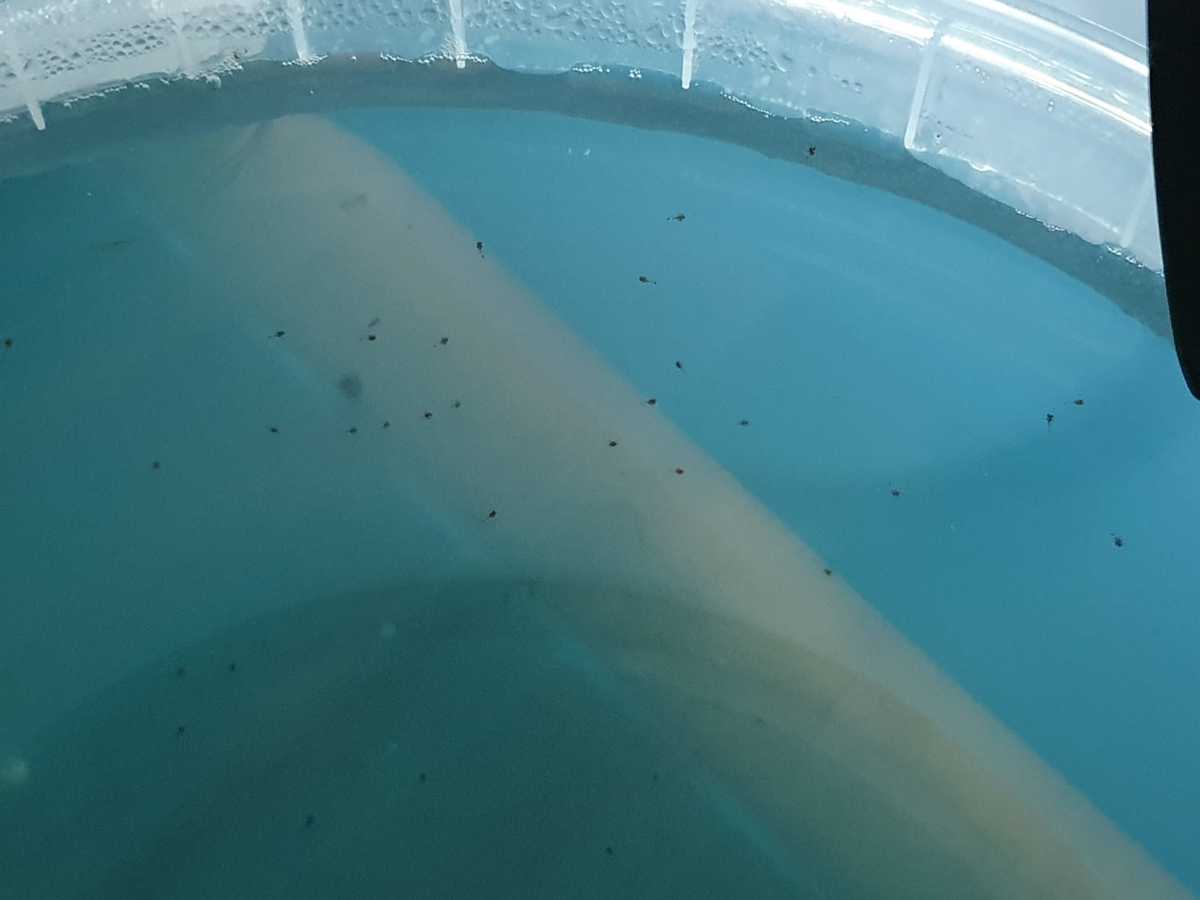 WhatsApp Image 2021-05-31 at 10.14.06.jpeg