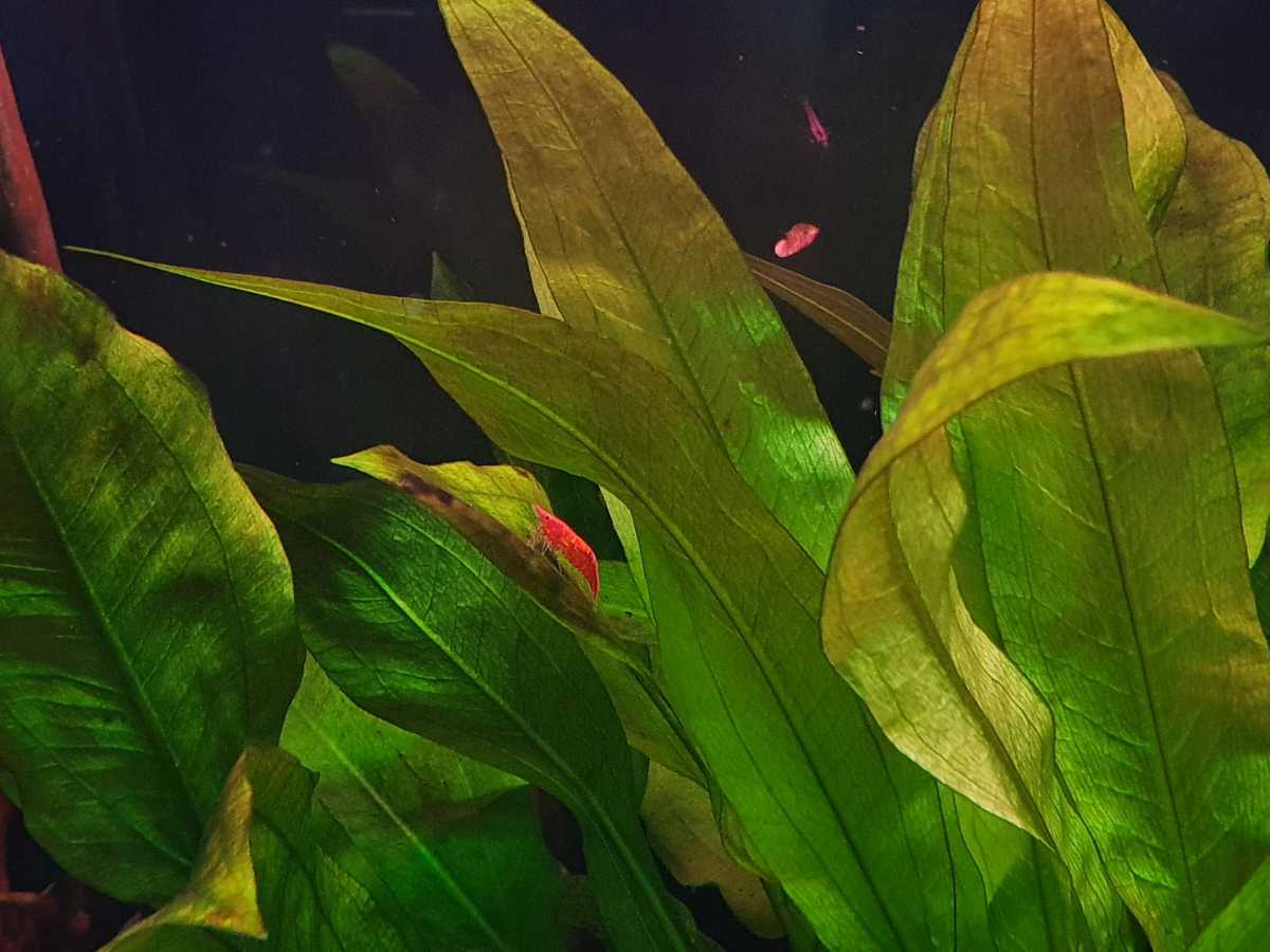 WhatsApp Image 2021-06-01 at 16.58.17.jpeg