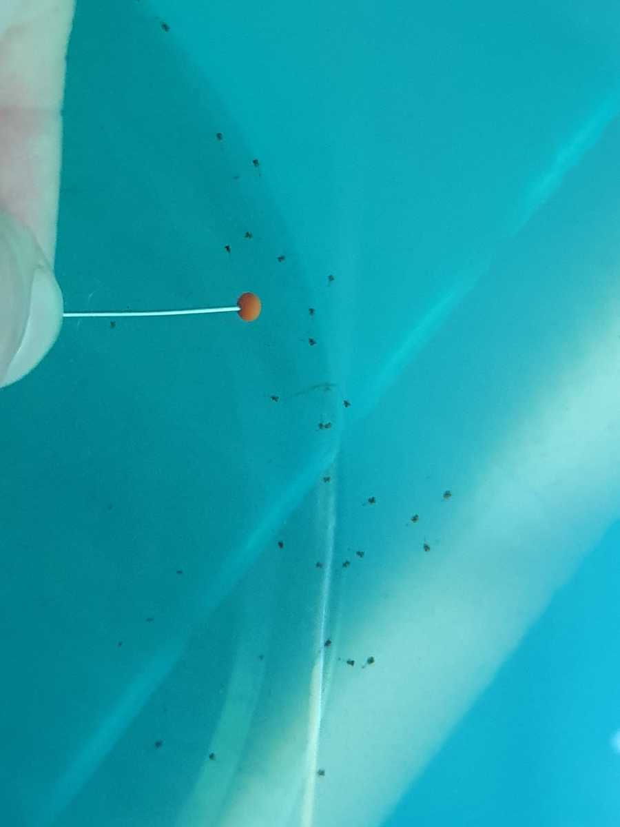 WhatsApp Image 2021-06-02 at 15.20.43.jpeg