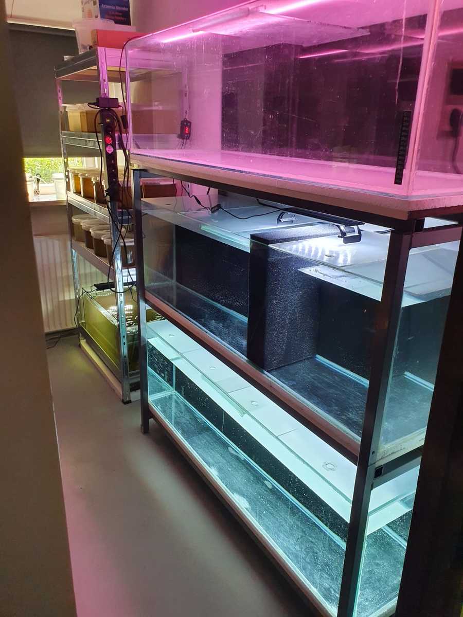 WhatsApp Image 2021-06-09 at 15.22.42.jpeg