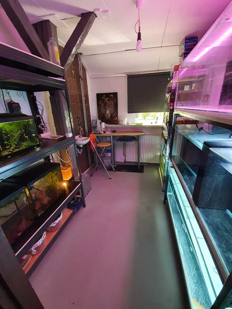 WhatsApp Image 2021-06-09 at 15.22.48.jpeg