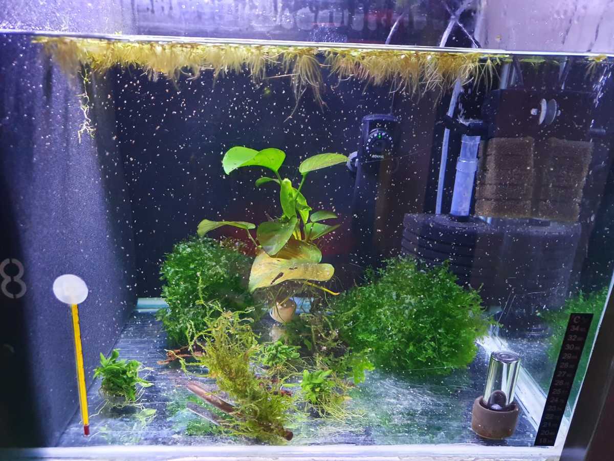 WhatsApp Image 2021-06-24 at 18.41.49 (1).jpeg