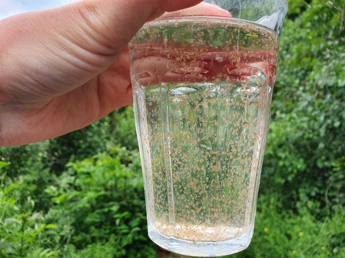 WhatsApp Image 2021-06-24 at 18.41.49.jpeg