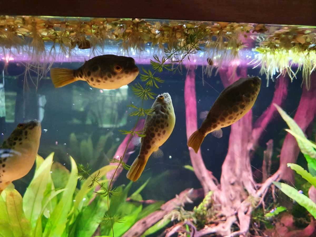 WhatsApp Image 2021-07-06 at 16.02.58.jpeg