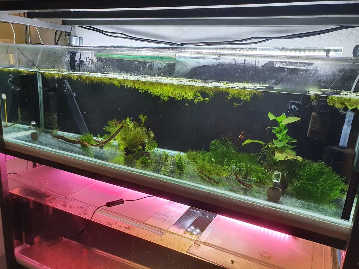 WhatsApp Image 2021-07-10 at 16.22.02 (1).jpeg