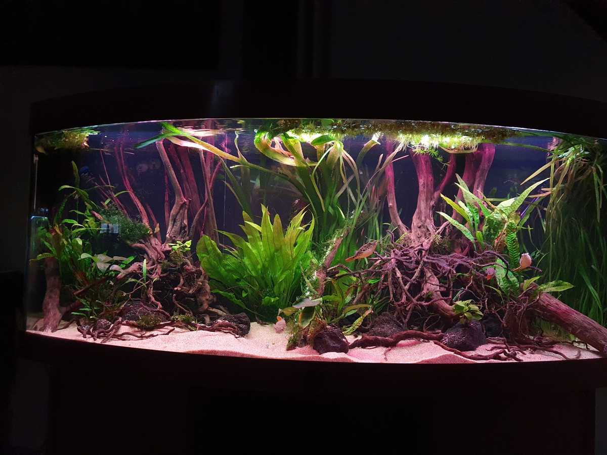 WhatsApp Image 2021-07-12 at 12.01.26.jpeg