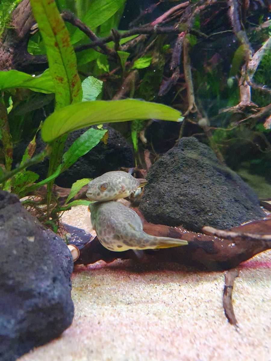 WhatsApp Image 2021-07-20 at 20.26.34.jpeg